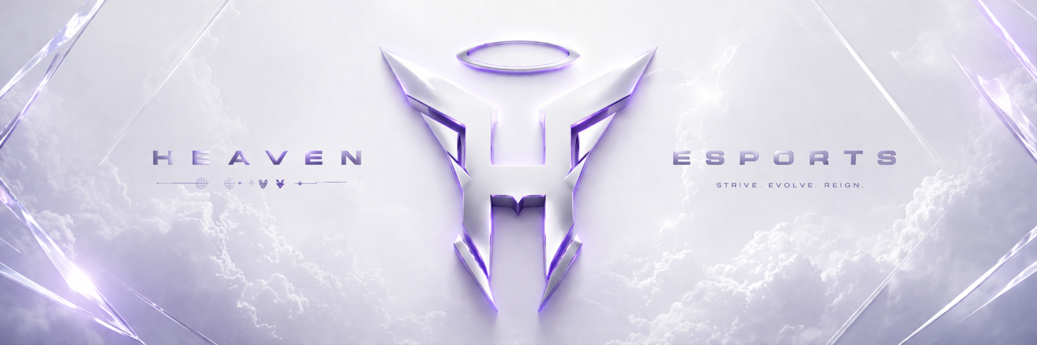 Heaven Esports banner